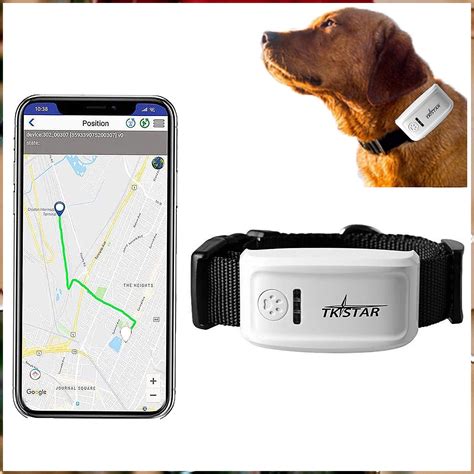 active rfid bluetooth dog tracking|best gps dog tracker reviews.